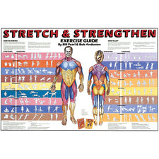 product image Stretch &amp; Strengthen Chart