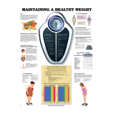 product image Maintaining a Healthy Weight Chart