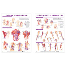 product image Trigger Point Chart Set
