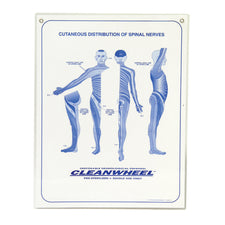 product image Dermatome Poster