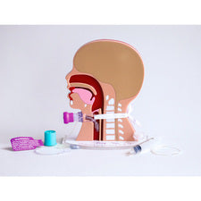 product image Tracheostomy P.A.M.™ (Pediatric Airway Model)
