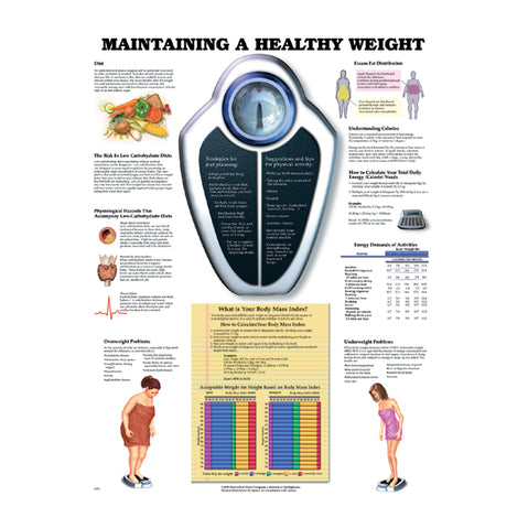 Maintaining a Healthy Weight Chart