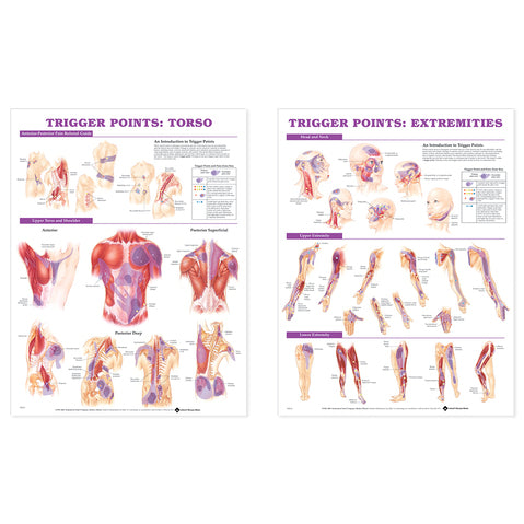 Trigger Point Chart Set