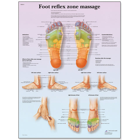 Foot Massage Reflex Zone Chart