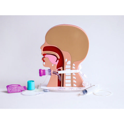 Tracheostomy P.A.M.™ (Pediatric Airway Model)