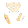 Male Urinal Systems with Reusable Latex Leg Bags
